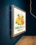 LED Translite Sign Boards